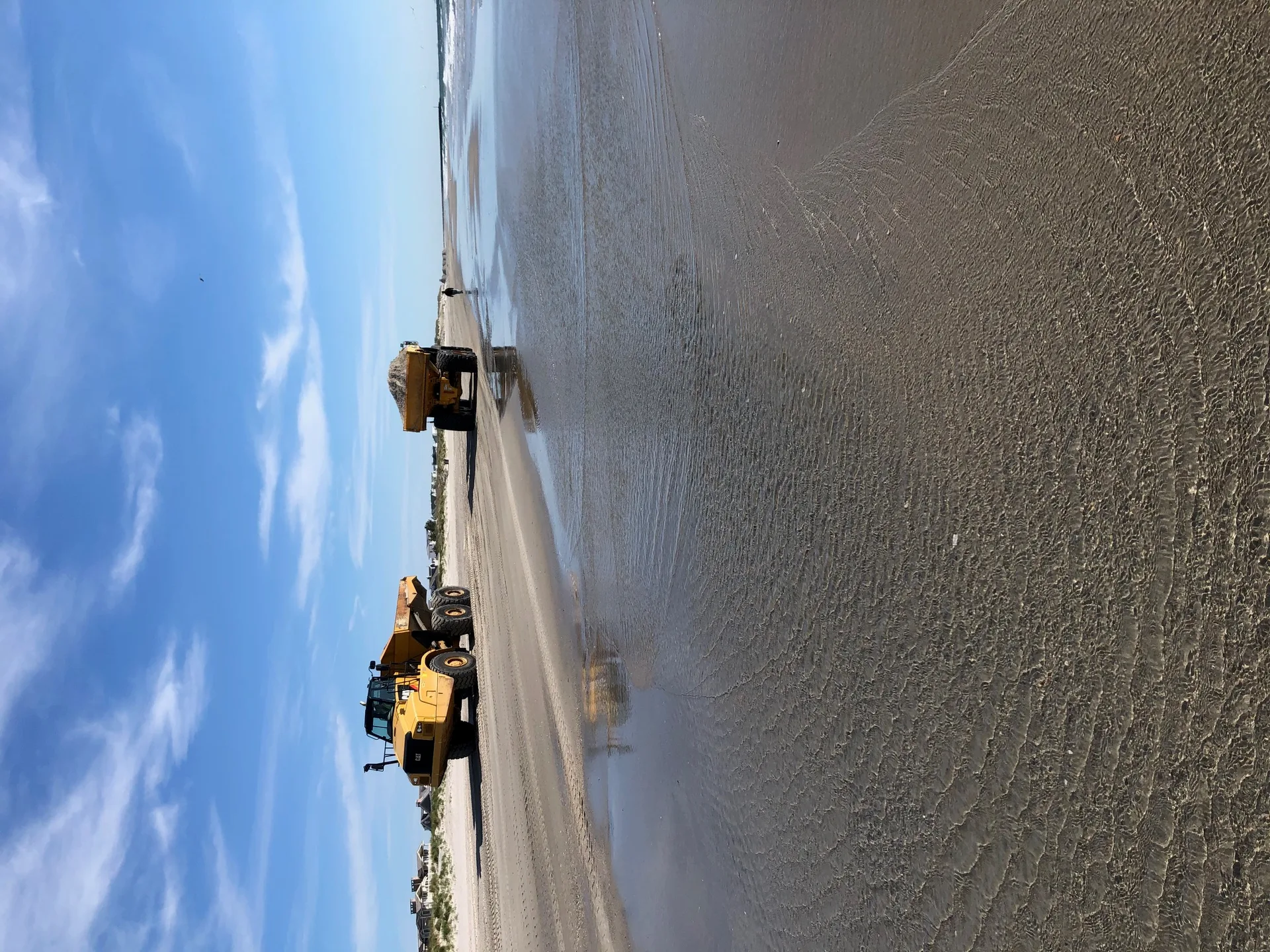 Avalon's Beach Restoration Project