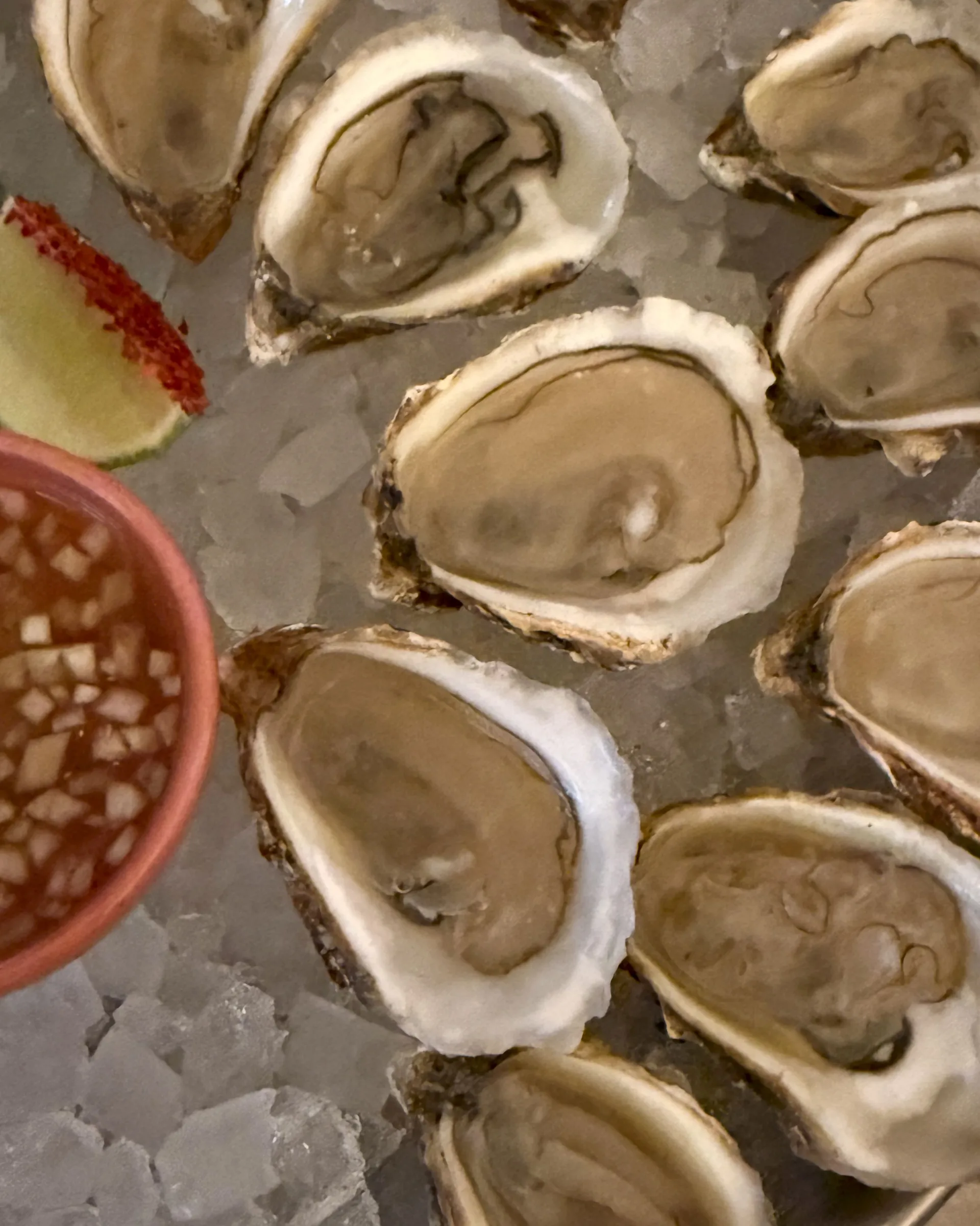 A display of fresh oysters on a bed of ice.