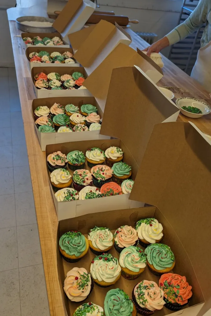 Christmas cupcakes in boxes on a counter.