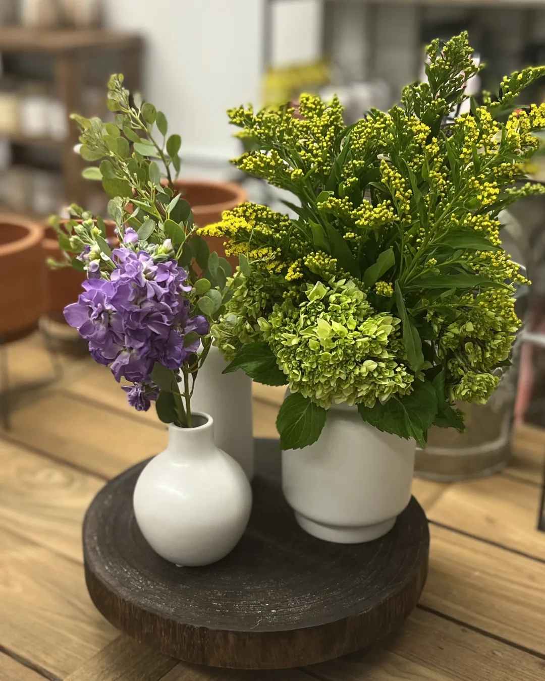 Three small plants in white vases on a tray.