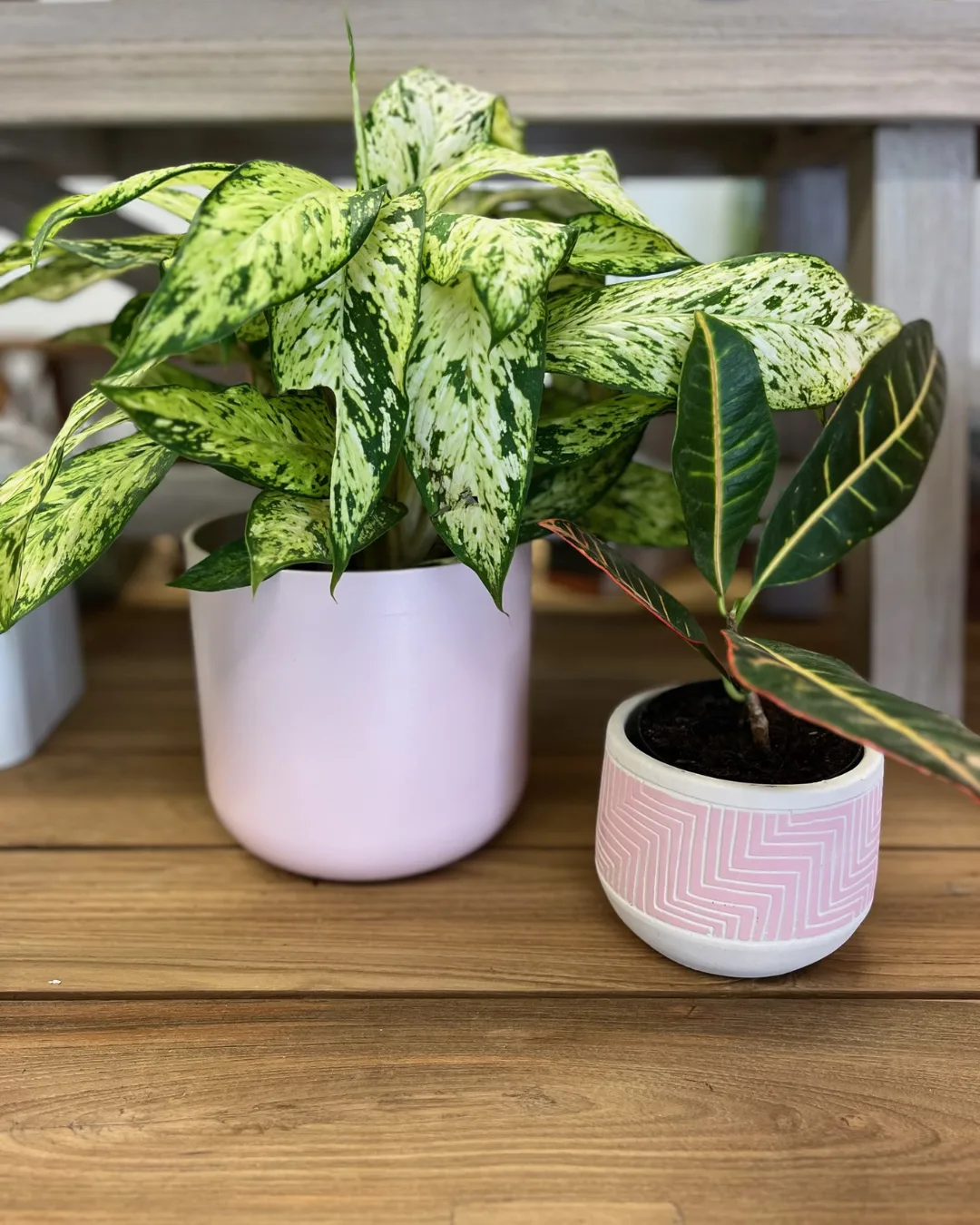 Two potted plants in pink pots sitting on a wooden shelf.
