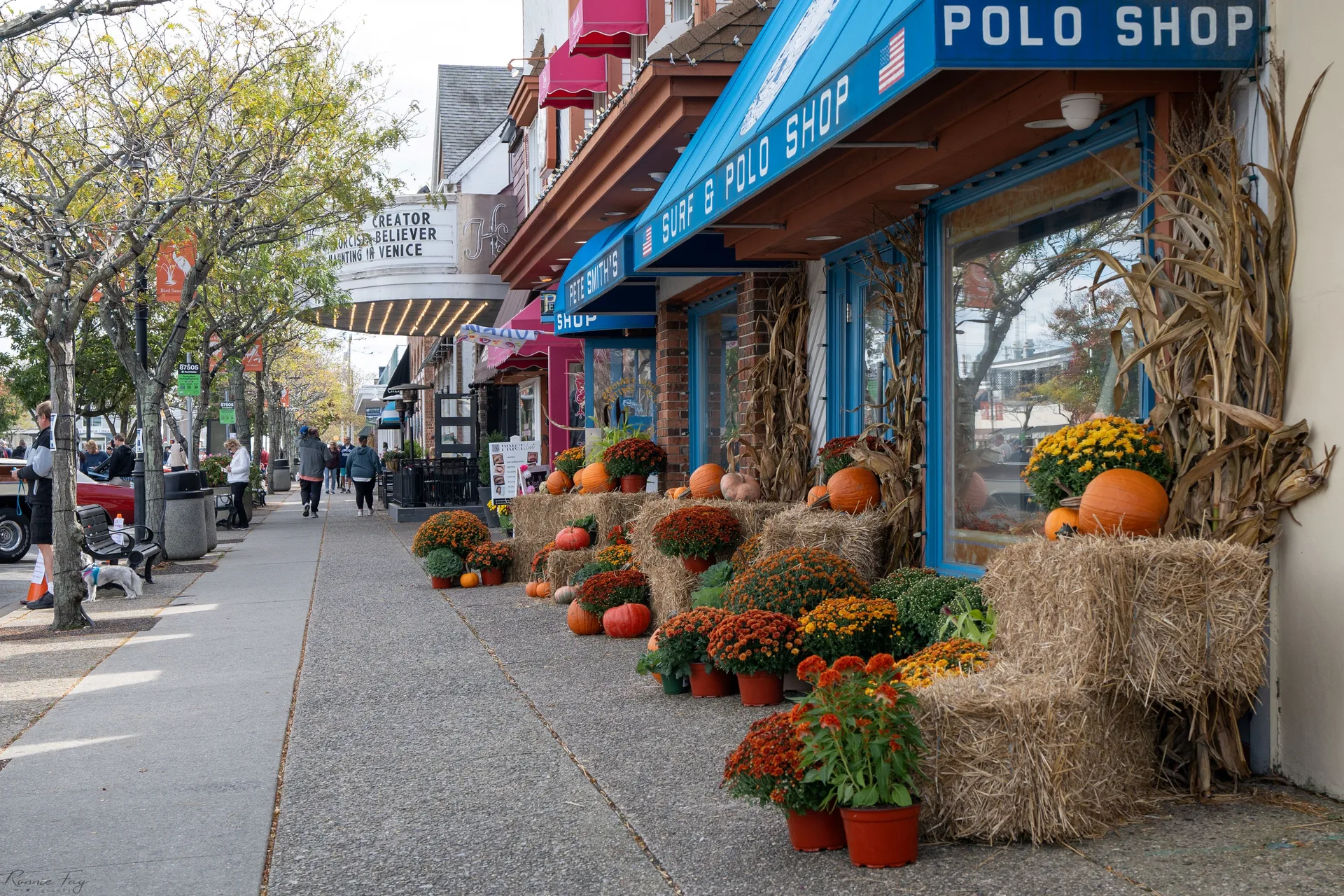 A street in Stone Harbor, New Jersey decorated for fall with hay, pumpkins, and flowers.