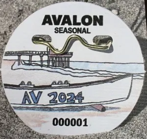 Avalon 2024 seasonal beach tag - a round pin with a lifeguard boat in the forefront and a fishing pier in the back. 