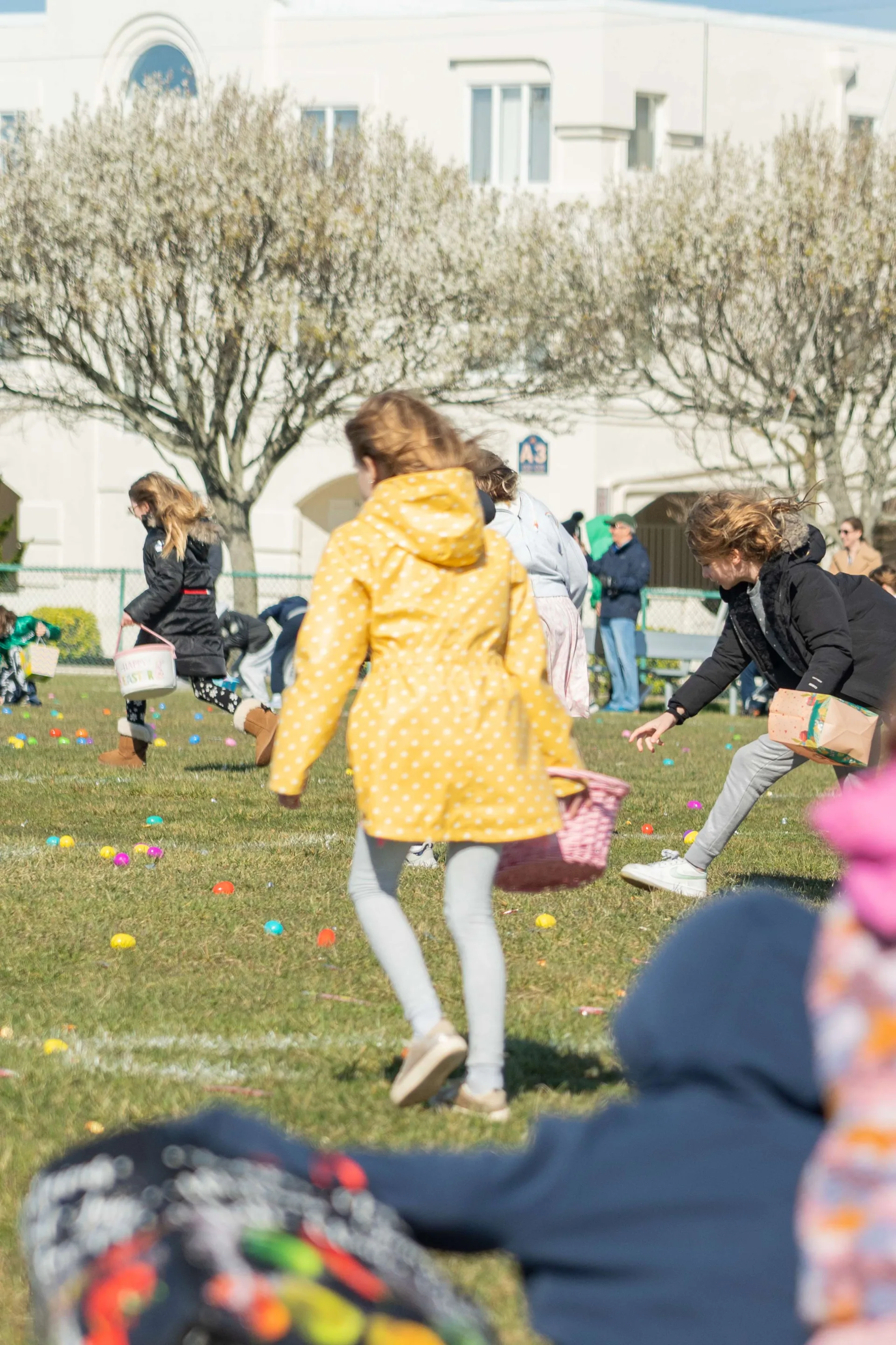 Copy of Av Egg hunt (15 of 49)