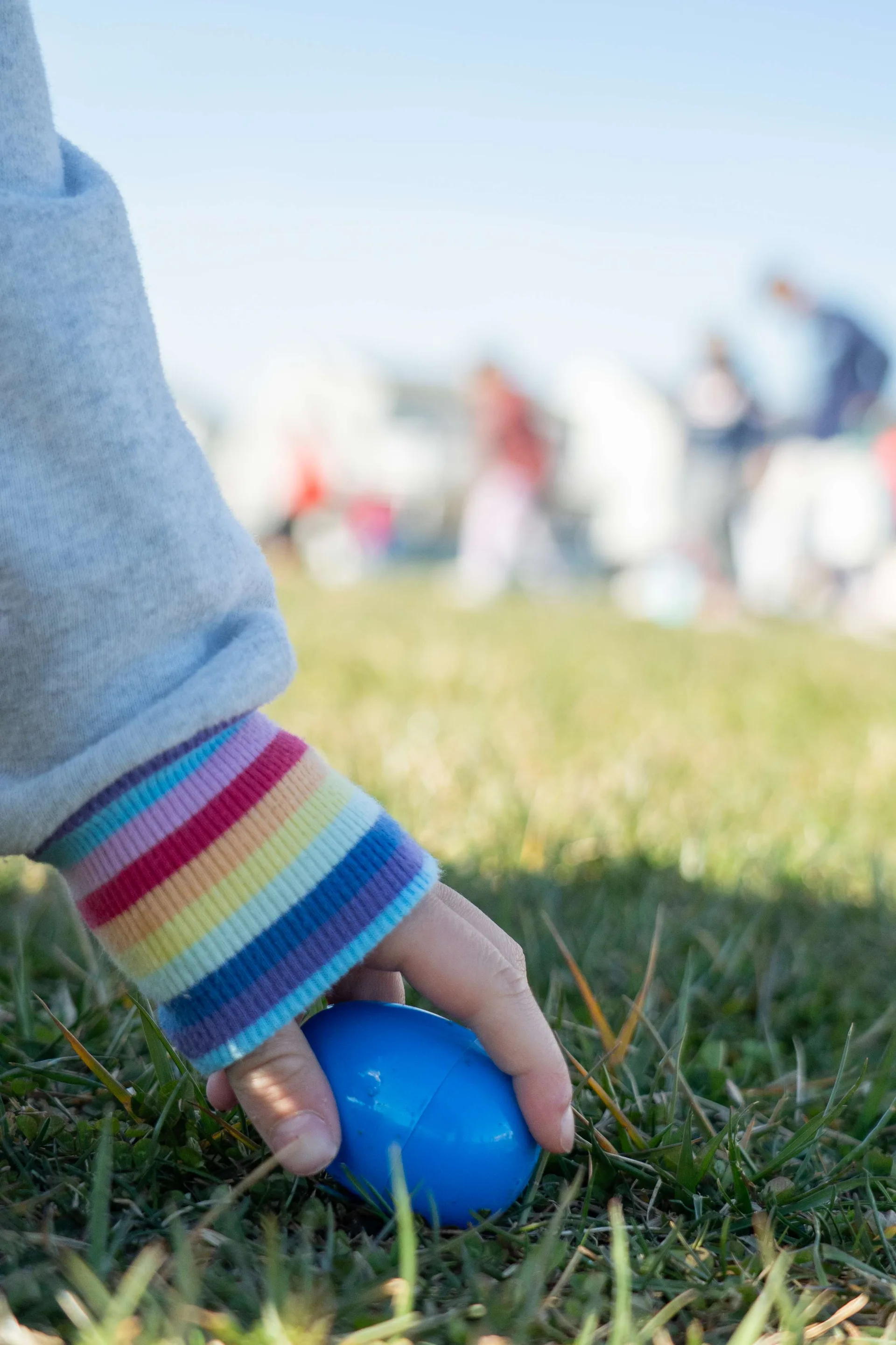 Copy of Av Egg hunt (2 of 49)