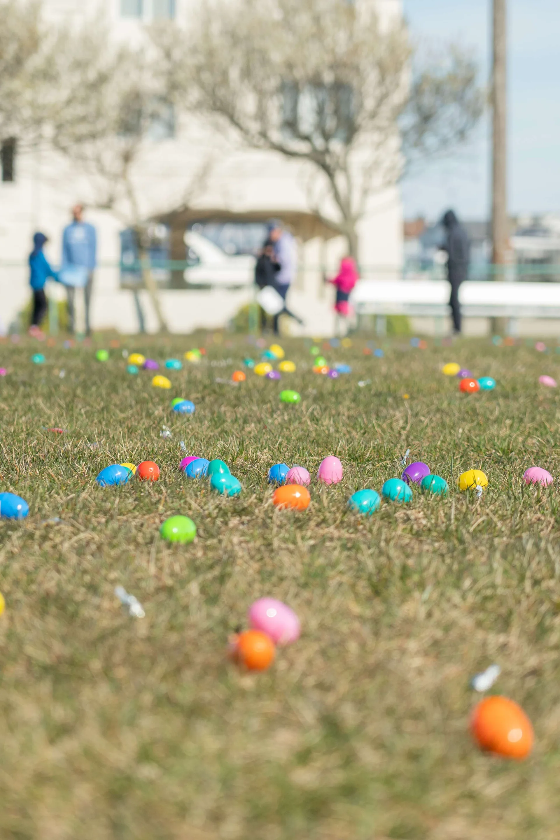Copy of Av Egg hunt (1 of 49)